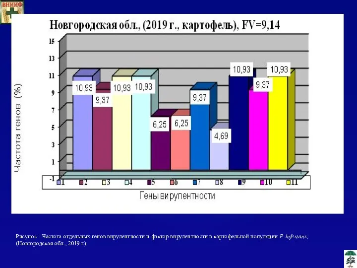 Рисунок - Частота отдельных генов вирулентности и фактор вирулентности в картофельной