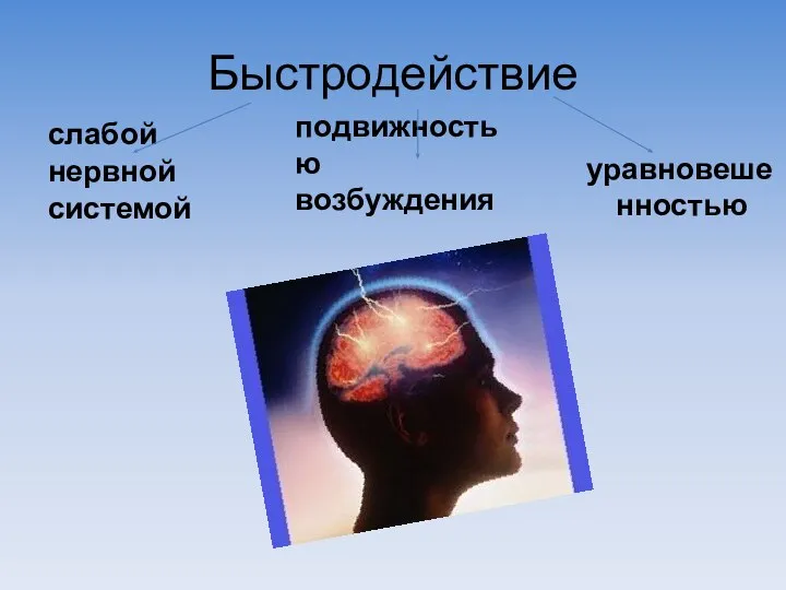 Быстродействие слабой нервной системой подвижностью возбуждения уравновешенностью