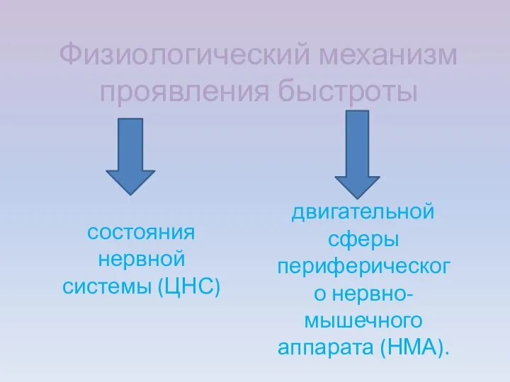 Физиологический механизм проявления быстроты состояния нервной системы (ЦНС) двигательной сферы периферического нервно-мышечного аппарата (НМА).