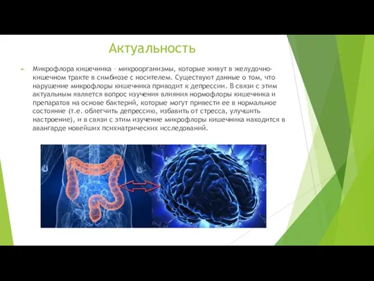 Актуальность Микрофлора кишечника – микроорганизмы, которые живут в желудочно-кишечном тракте в