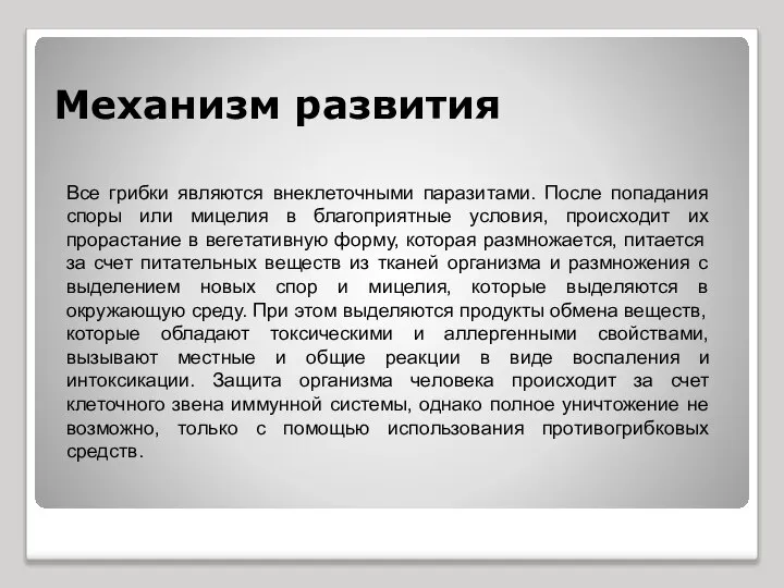 Механизм развития Все грибки являются внеклеточными паразитами. После попадания споры или