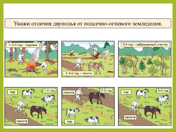 Укажи отличия двуполья от подсечно-огневого земледелия.