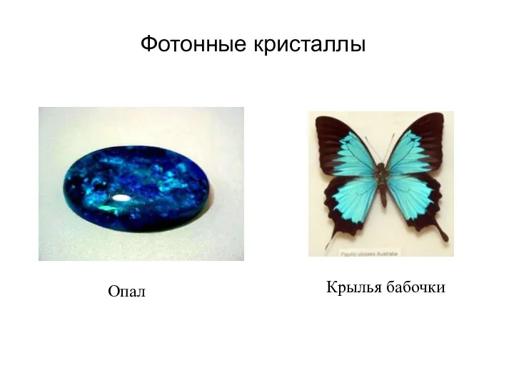 Фотонные кристаллы Опал Крылья бабочки