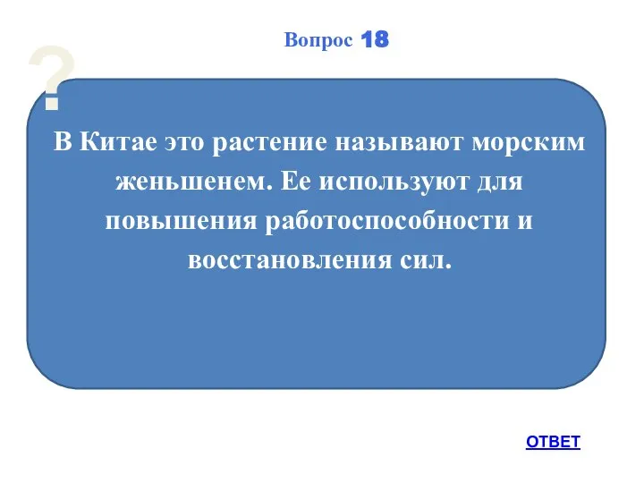 В Китае это растение называют морским женьшенем. Ее используют для повышения