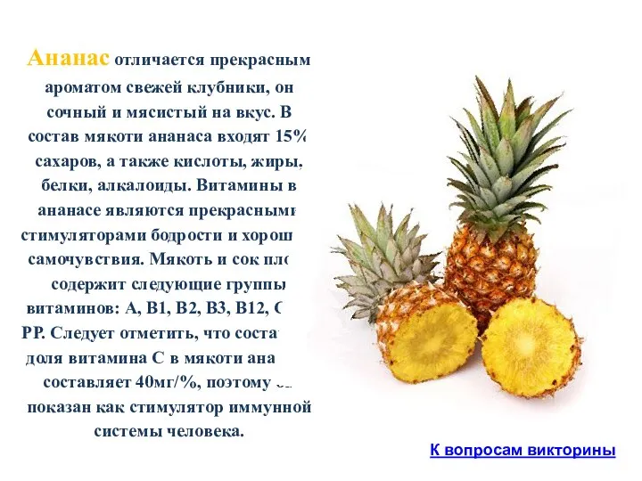 Ананас отличается прекрасным ароматом свежей клубники, он сочный и мясистый на