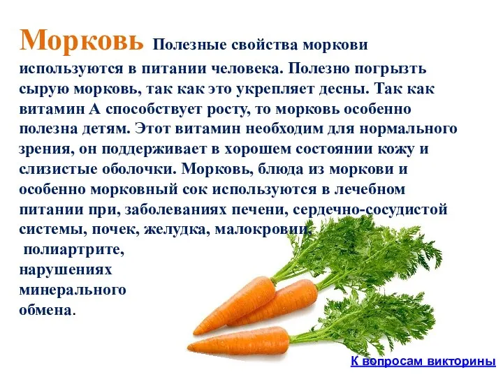 Морковь Полезные свойства моркови используются в питании человека. Полезно погрызть сырую