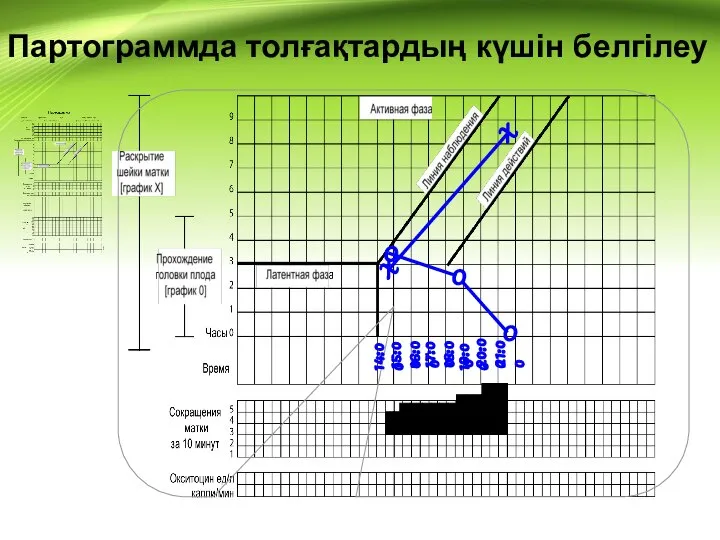 Партограммда толғақтардың күшін белгілеу 14:00 15:00 16:00 17:00 18:00 19:00 20:00