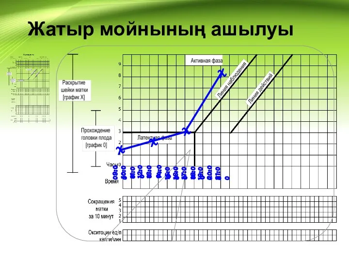 Жатыр мойнының ашылуы 09:00 10:00 11:00 12:00 13:00 14:00 15:00 16:00