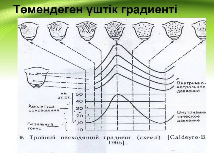 Төмендеген үштік градиенті