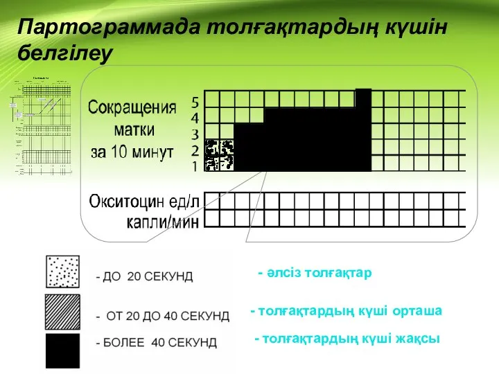 Партограммада толғақтардың күшін белгілеу - әлсіз толғақтар - толғақтардың күші орташа - толғақтардың күші жақсы