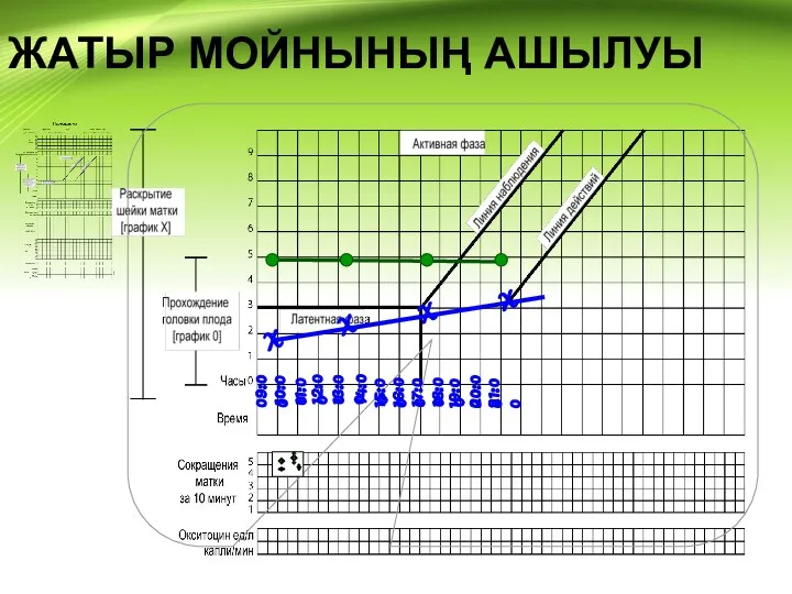 ЖАТЫР МОЙНЫНЫҢ АШЫЛУЫ 09:00 10:00 11:00 12:00 13:00 14:00 15:00 16:00