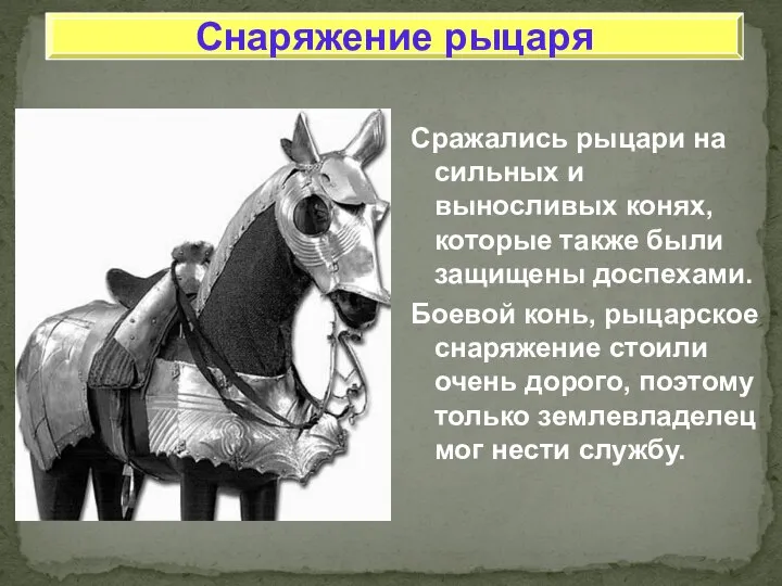 Сражались рыцари на сильных и выносливых конях, которые также были защищены