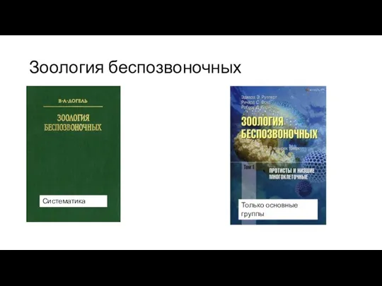 Зоология беспозвоночных Систематика Только основные группы