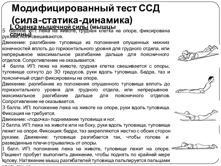 Модифицированный тест ССД (сила-статика-динамика) I. Оценка мышечной силы (мышцы спины) 5