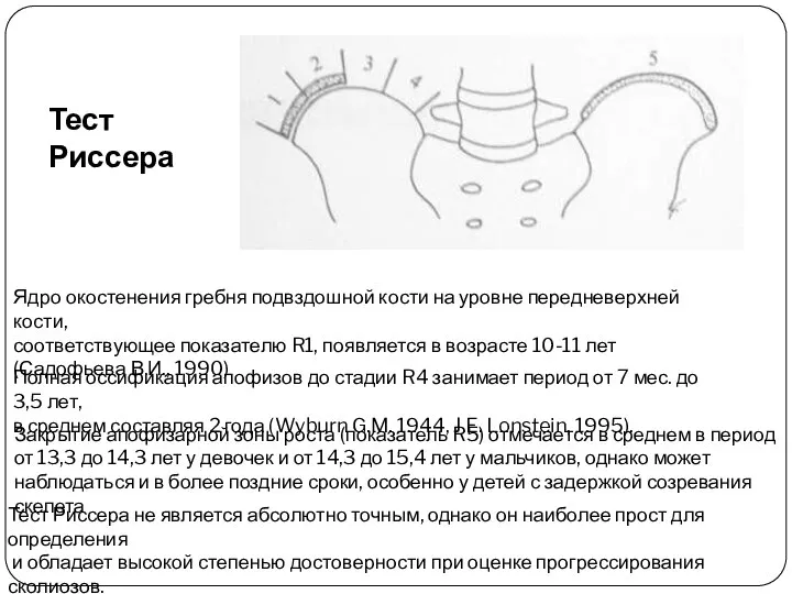 Ядро окостенения гребня подвздошной кости на уровне передневерхней кости, соответствующее показателю