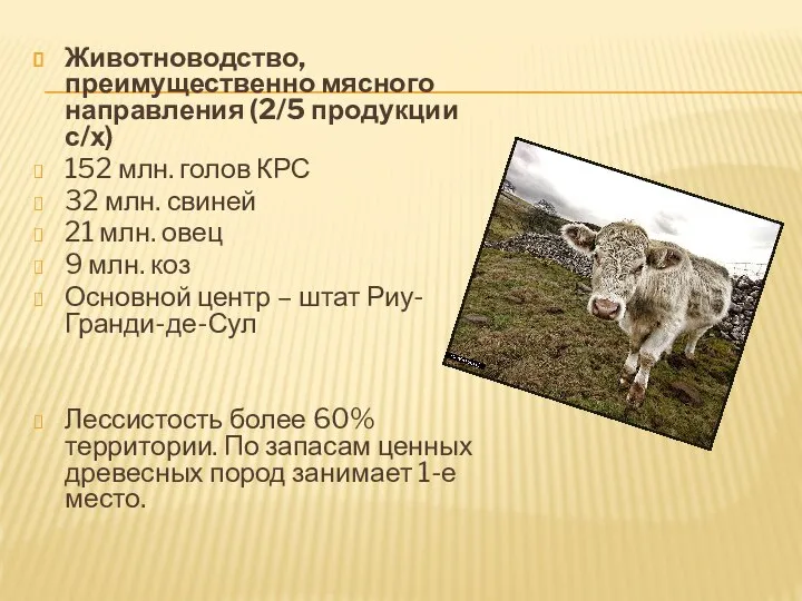 Животноводство, преимущественно мясного направления (2/5 продукции с/х) 152 млн. голов КРС