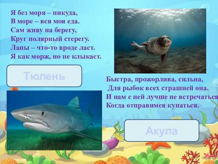 Я без моря – никуда, В море – вся моя еда.