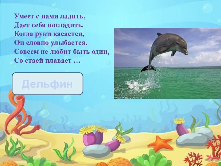 Умеет с нами ладить, Дает себя погладить. Когда руки касается, Он