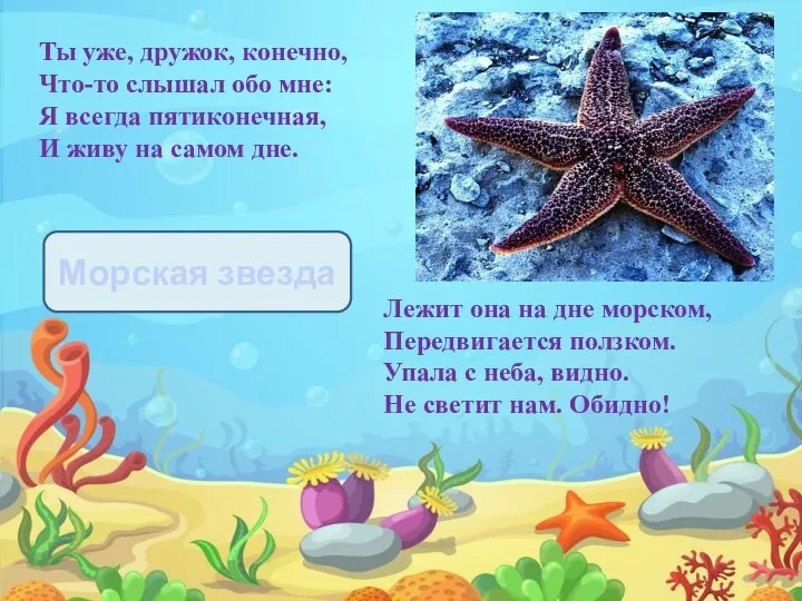 Ты уже, дружок, конечно, Что-то слышал обо мне: Я всегда пятиконечная,