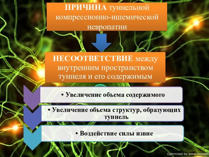 ПРИЧИНА туннельной компрессионно-ишемической невропатии НЕСООТВЕТСТВИЕ между внутренним пространством туннеля и его содержимым