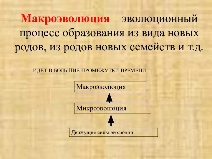 Макроэволюция – эволюционный процесс образования из вида новых родов, из родов