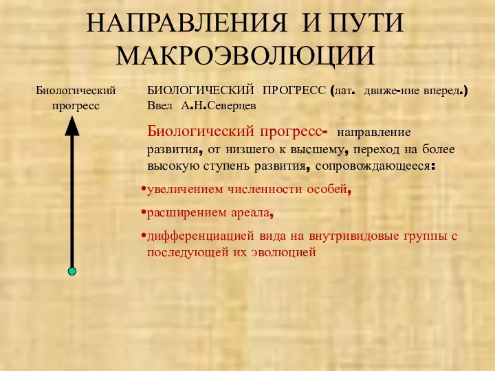 НАПРАВЛЕНИЯ И ПУТИ МАКРОЭВОЛЮЦИИ Биологический прогресс БИОЛОГИЧЕСКИЙ ПРОГРЕСС (лат. движе-ние вперед.)