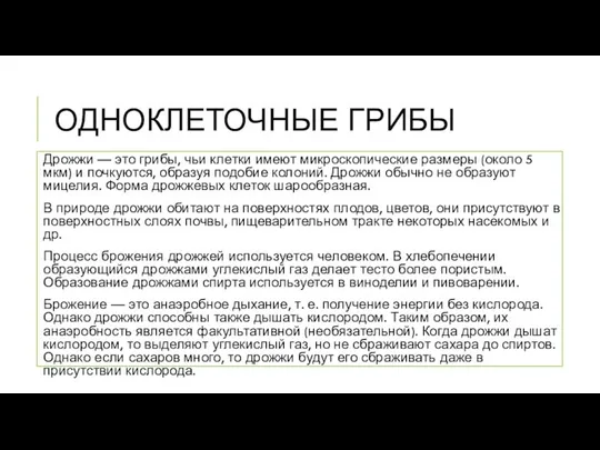 ОДНОКЛЕТОЧНЫЕ ГРИБЫ Дрожжи — это грибы, чьи клетки имеют микроскопические размеры