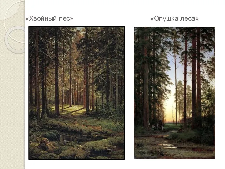 «Хвойный лес» «Опушка леса»