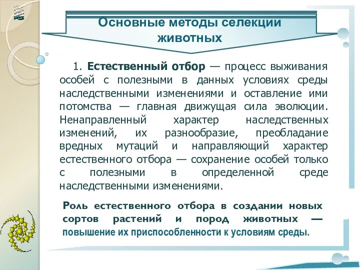 1. Естественный отбор — процесс выживания особей с полезными в данных