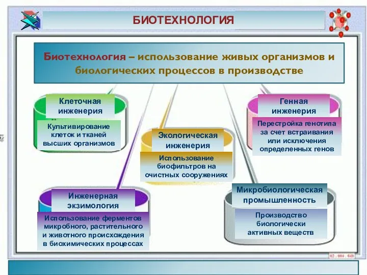 . БИОТЕХНОЛОГИЯ Биотехнология – использование живых организмов и биологических процессов в