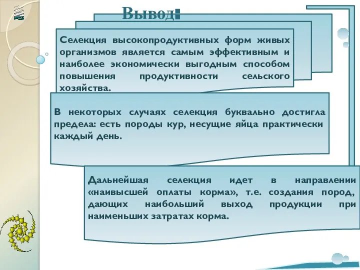 Селекция высокопродуктивных форм живых организмов является самым эффективным и наиболее экономически