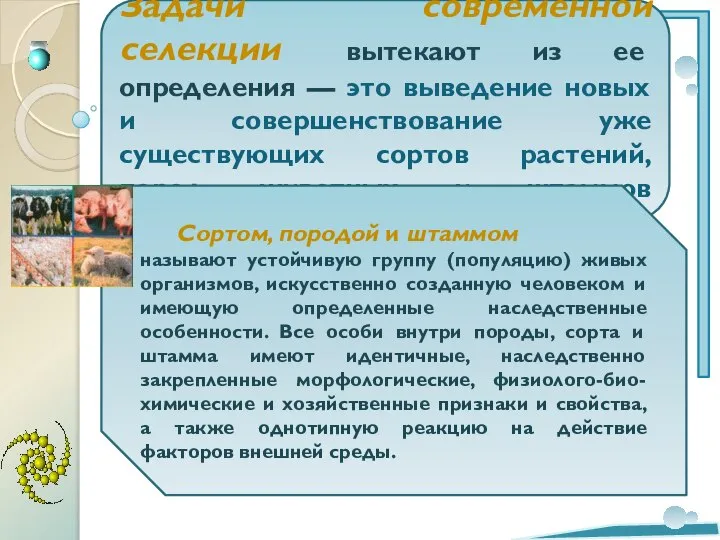 Задачи современной селекции вытекают из ее определения — это выведение новых