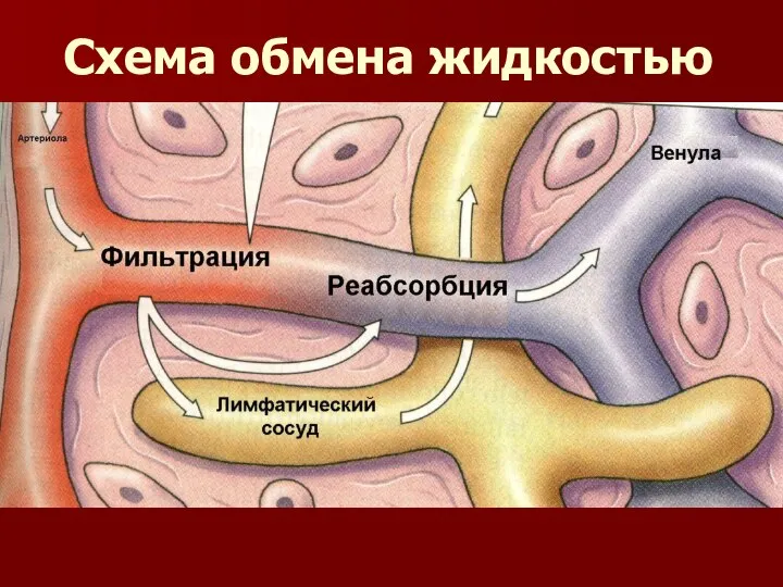 Схема обмена жидкостью