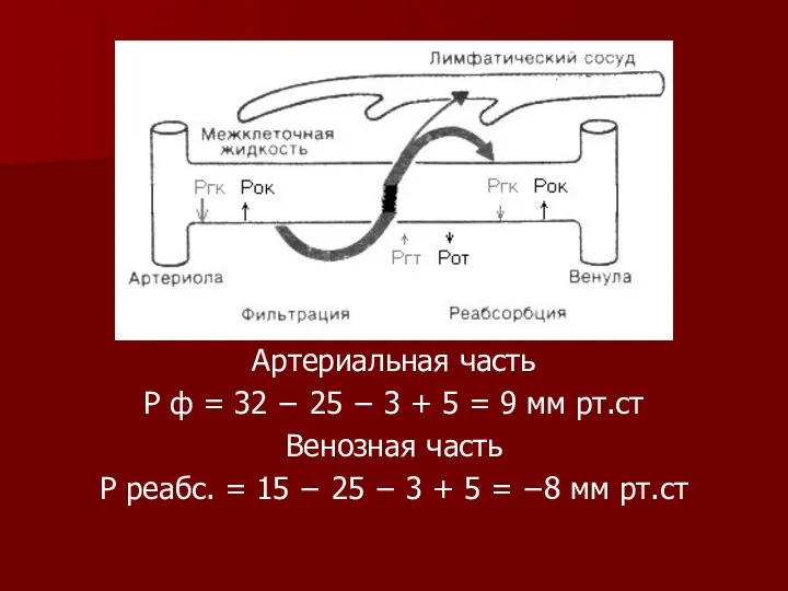 Артериальная часть Р ф = 32 − 25 − 3 +