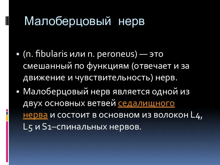 Малоберцовый нерв (n. fibularis или n. peroneus) — это смешанный по