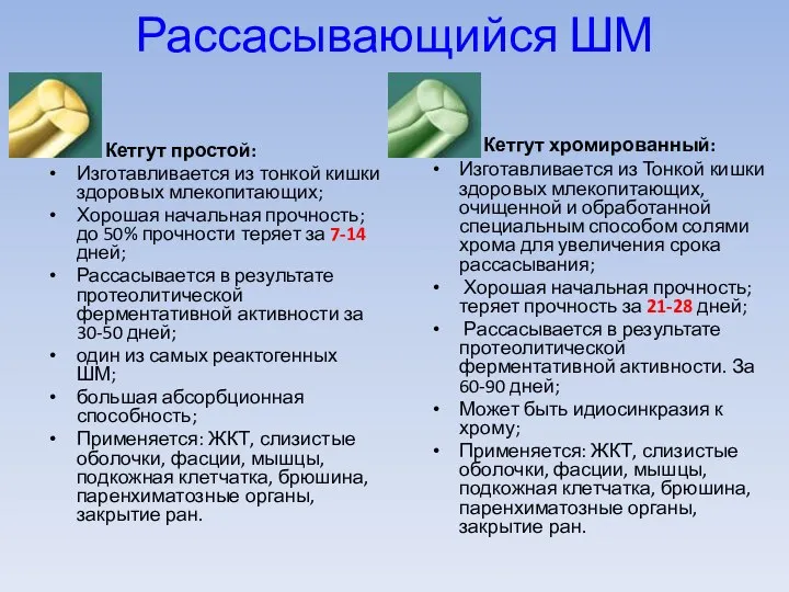 Рассасывающийся ШМ Кетгут простой: Изготавливается из тонкой кишки здоровых млекопитающих; Хорошая