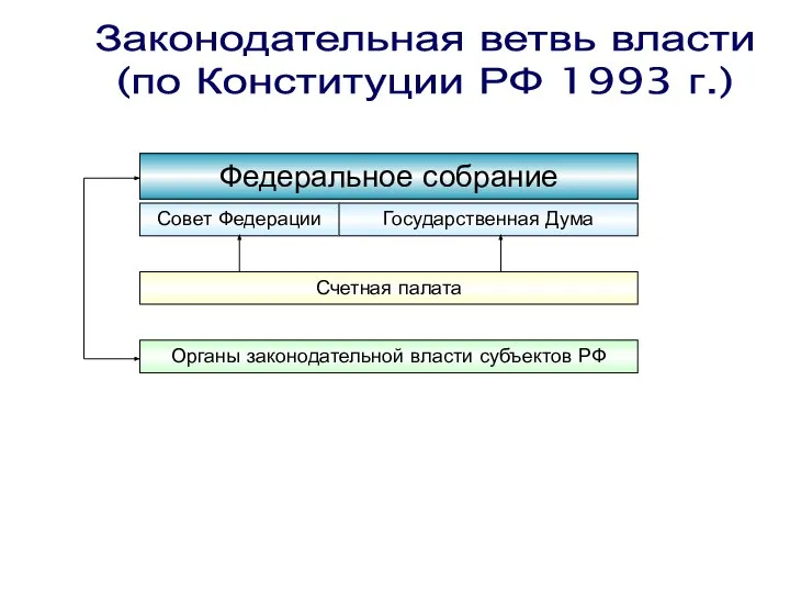 Законодательная ветвь власти (по Конституции РФ 1993 г.)