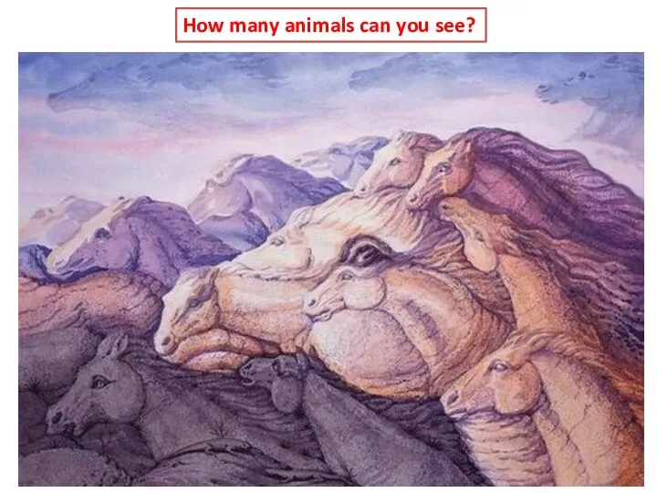 How many animals can you see?