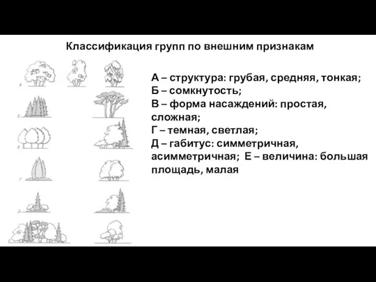 Классификация групп по внешним признакам А – структура: грубая, средняя, тонкая;