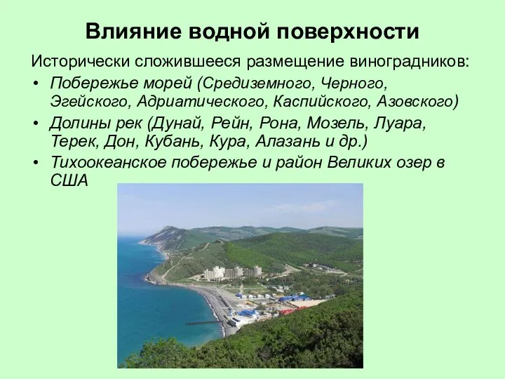 Влияние водной поверхности Исторически сложившееся размещение виноградников: Побережье морей (Средиземного, Черного,