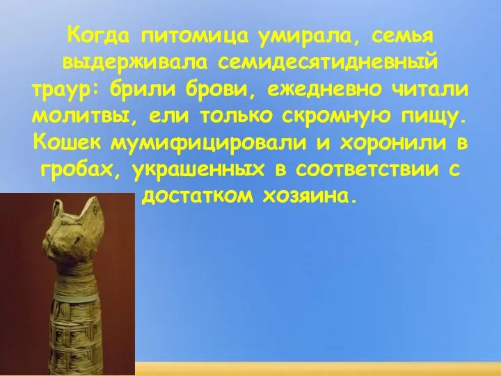 Когда питомица умирала, семья выдерживала семидесятидневный траур: брили брови, ежедневно читали