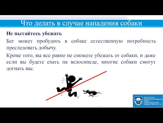 Что делать в случае нападения собаки Не пытайтесь убежать Бег может