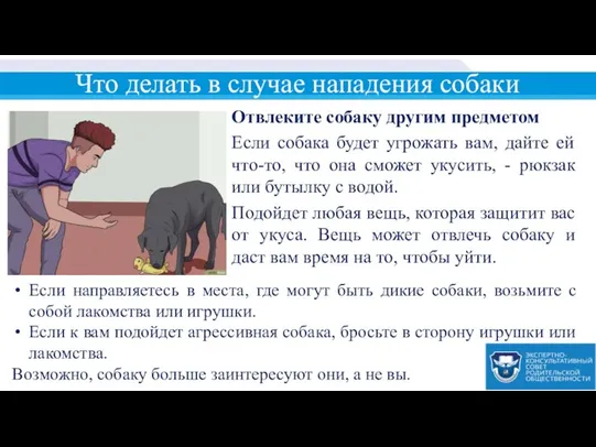 Что делать в случае нападения собаки Отвлеките собаку другим предметом Если