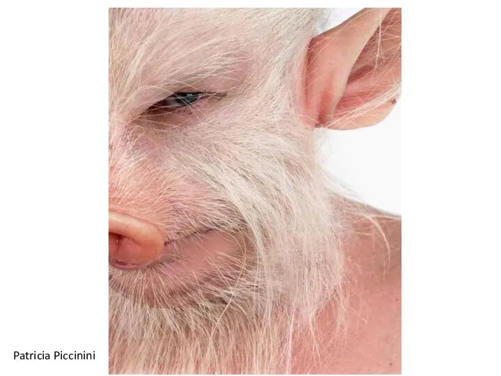 Patricia Piccinini