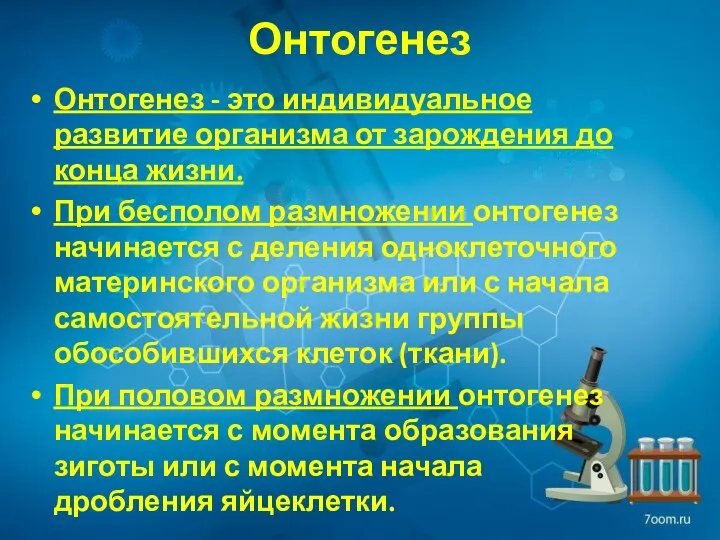 Онтогенез Онтогенез - это индивидуальное развитие организма от зарождения до конца