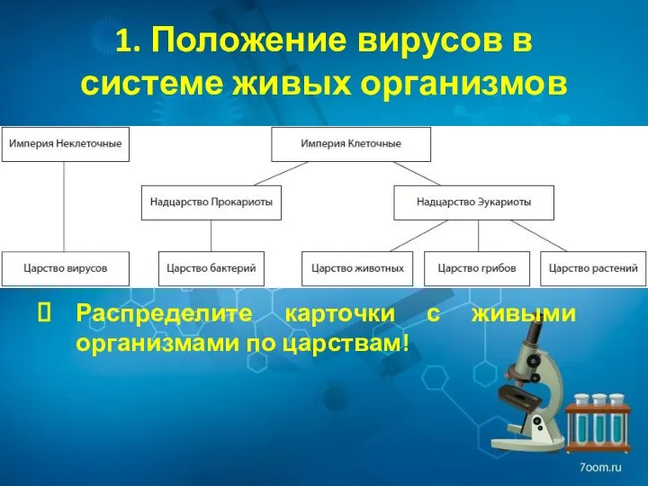 1. Положение вирусов в системе живых организмов Распределите карточки с живыми организмами по царствам!