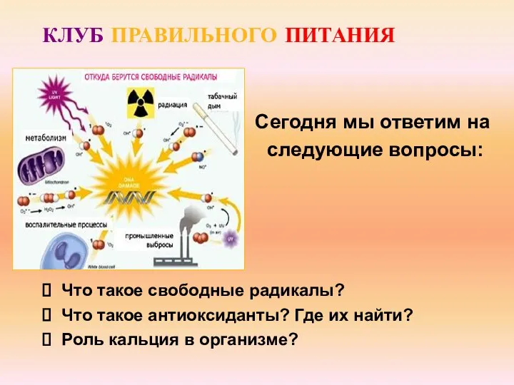 Что такое свободные радикалы? Что такое антиоксиданты? Где их найти? Роль