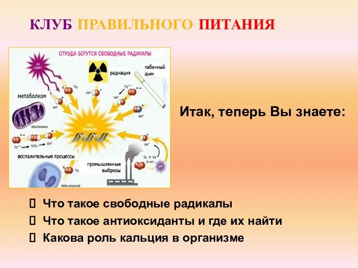 Что такое свободные радикалы Что такое антиоксиданты и где их найти