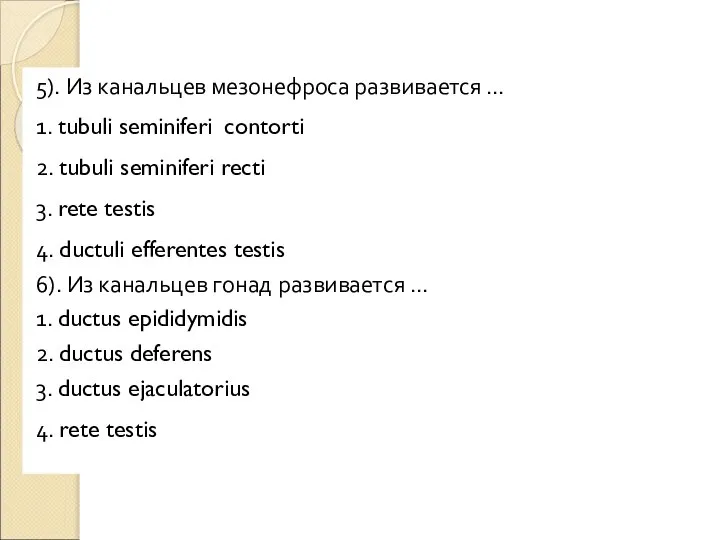 5). Из канальцев мезонефроса развивается … 1. tubuli seminiferi contorti 2.