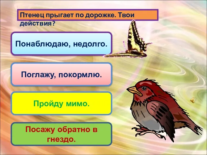 Птенец прыгает по дорожке. Твои действия? Поглажу, покормлю. Пройду мимо. Посажу обратно в гнездо. Понаблюдаю, недолго.